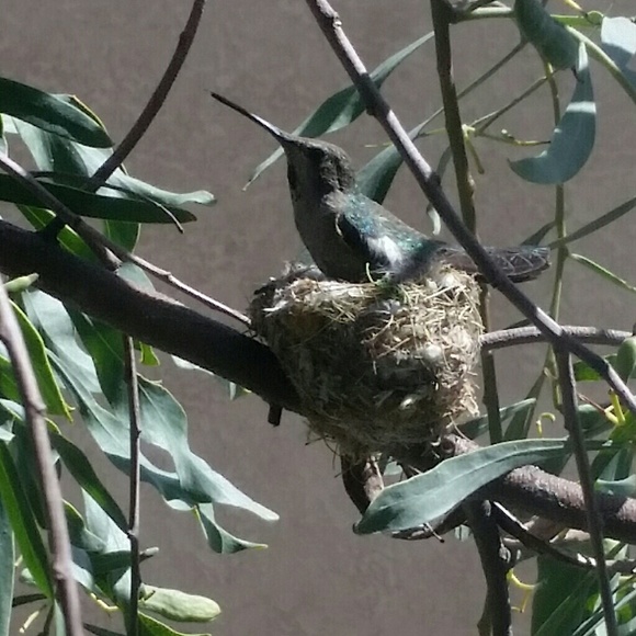 Thank you my fellow poshers! - Picture 4 of 6